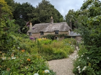 De strakke kiezeltuin is op zijn retour