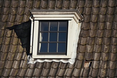 Laat je dakkapel repareren door een professionele dakdekker