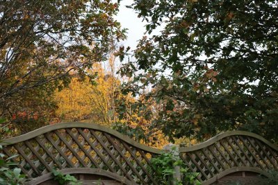 Ruim je tuin deze herfst niet te netjes op